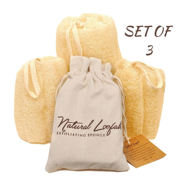 Set of 3 Loofa Scrubber Sponges