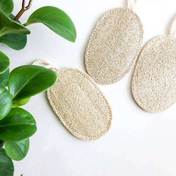 Loofah Sponge - Natural Biodegradable