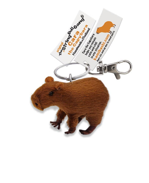 Cara the Capybara