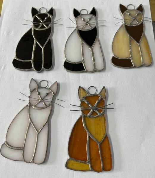 Windowpane glass  Cat