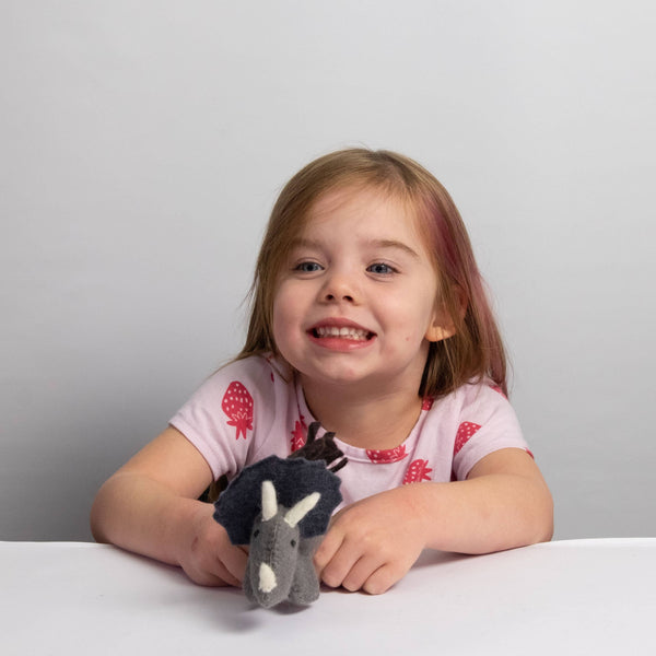 Toys - Dinosaur - Triceratops