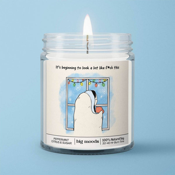 "It's Beginning to Look a Lot like F*ck This" - Soy Candle