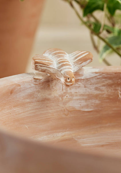 Terracotta Bird Bath/feeder with Bee