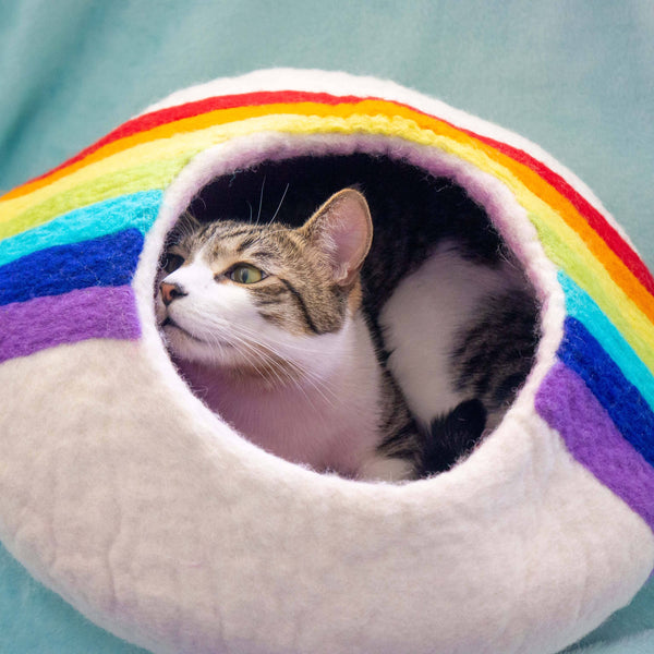 Rainbow Eco Kitty Cave
