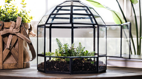 Large Glass Terrarium Birdcage Handmade Planter Decor 9x10"