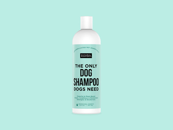 The Only Dog Shampoo Dogs Need: 16 ounce