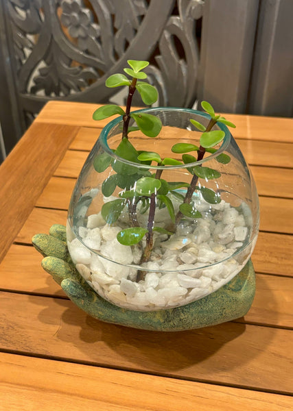 Open Hand Terrarium