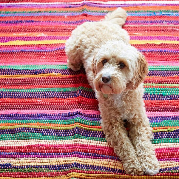 Handmade Recycled Cotton Rag Rug - Door Mat