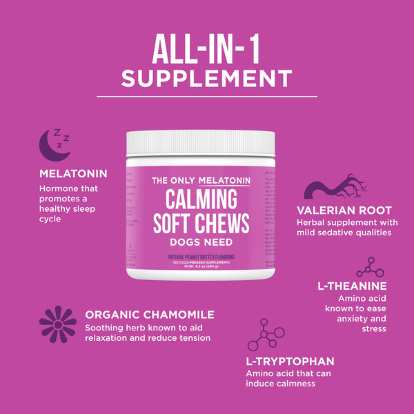 The Only Melatonin Calming Soft Chews Dogs Need: 12 count pouch