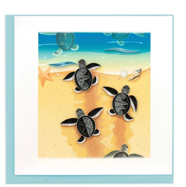 Sea Turtle Hatchlings