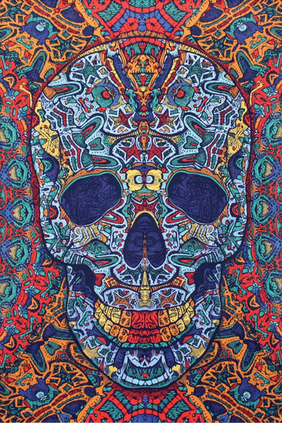 3D Tapestry Psychedelic Skull Hanger Packaged Tapestries