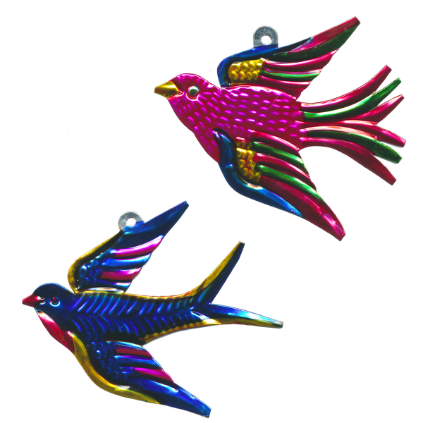 Swallow Tin Orn, Mexico