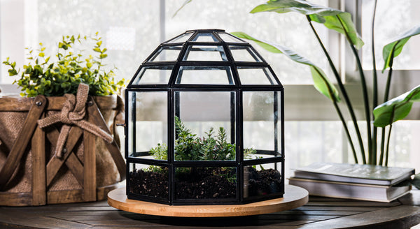 Large Glass Terrarium Birdcage Handmade Planter Decor 9x10"
