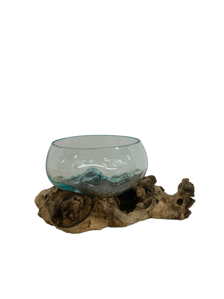 Succulent Dish/Terrarium Hand Blown Glass on Driftwood