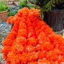 Marigold Garlands - 58 inches long -