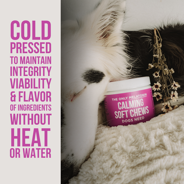 The Only Melatonin Calming Soft Chews Dogs Need: 12 count pouch