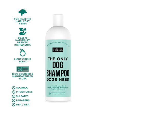 The Only Dog Shampoo Dogs Need: 16 ounce