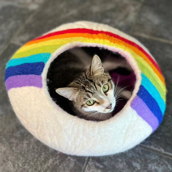 Rainbow Eco Kitty Cave