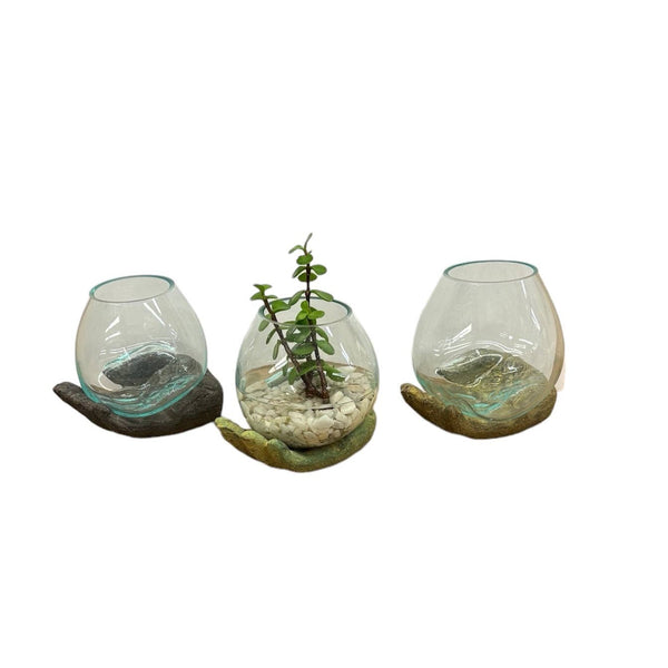 Open Hand Terrarium