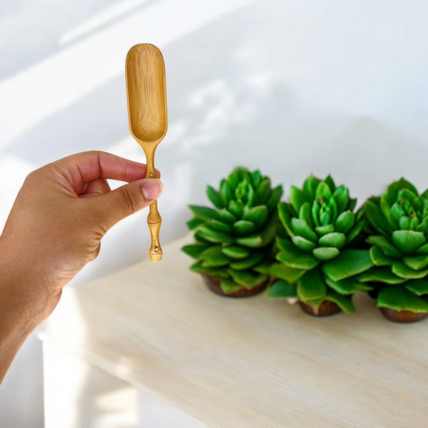 Bamboo Scoops