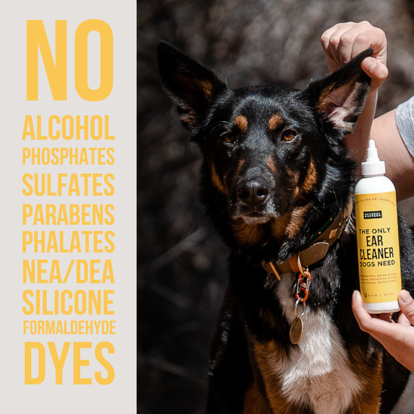 The Only Ear Cleaner Dogs Need: 3 ounce