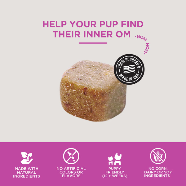 The Only Melatonin Calming Soft Chews Dogs Need: 12 count pouch