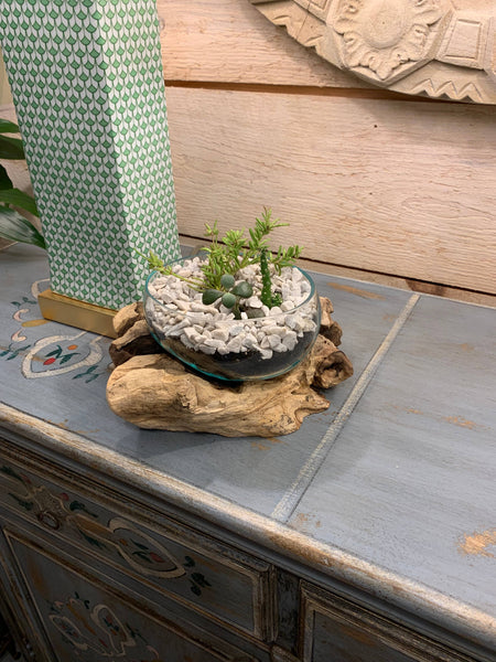 Succulent Dish/Terrarium Hand Blown Glass on Driftwood
