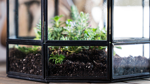 Large Glass Terrarium Birdcage Handmade Planter Decor 9x10"
