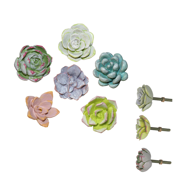 Succulent Garden Knobs Asst EA895