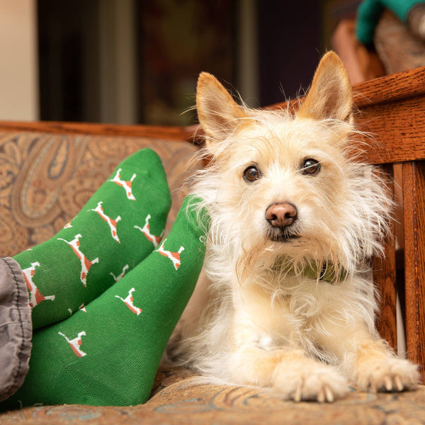 Socks that Save Dogs-Green Dogs/Medium