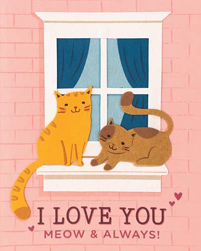 Meow and Always
