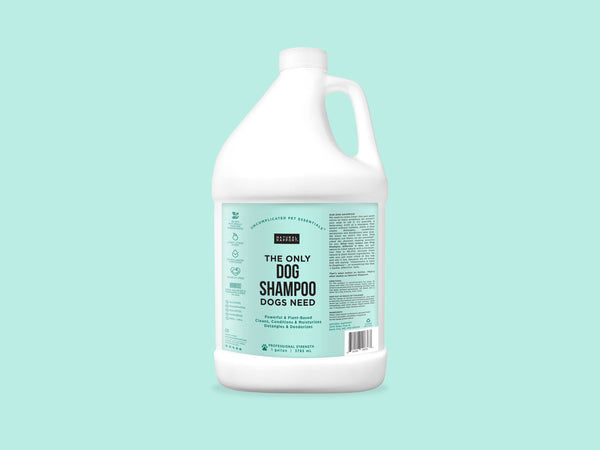 The Only Dog Shampoo Dogs Need: 16 ounce