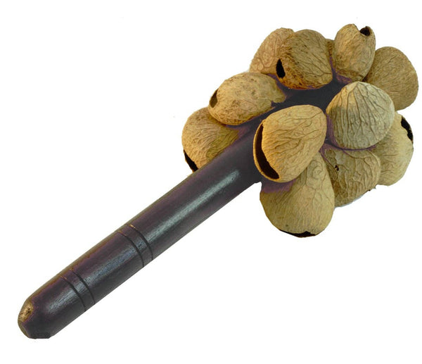 Spice Nut Shaker Instrument