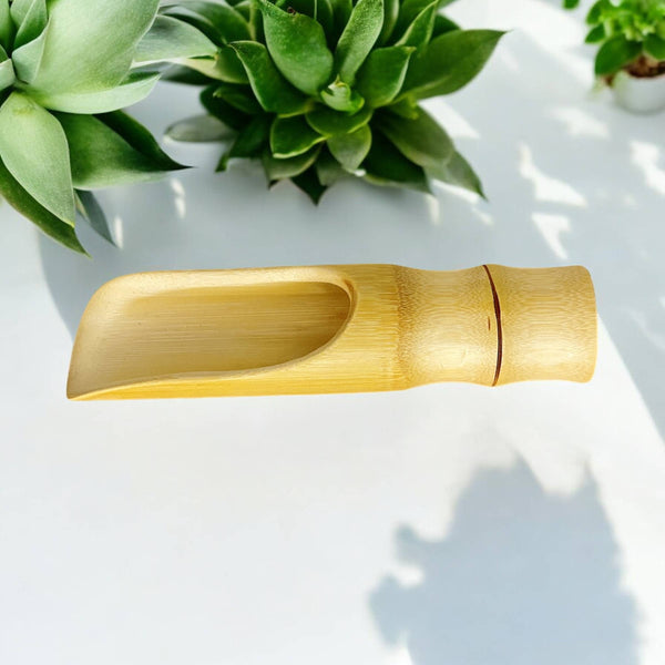 Bamboo Scoops