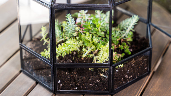 Large Glass Terrarium Birdcage Handmade Planter Decor 9x10"