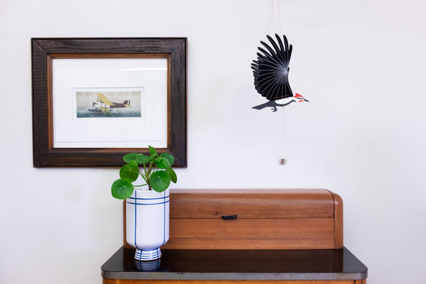 Woodpecker Bird Flying Mobile