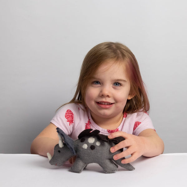 Toys - Dinosaur - Triceratops
