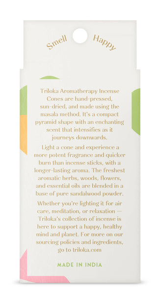 Triloka Earthy Assorted Cones