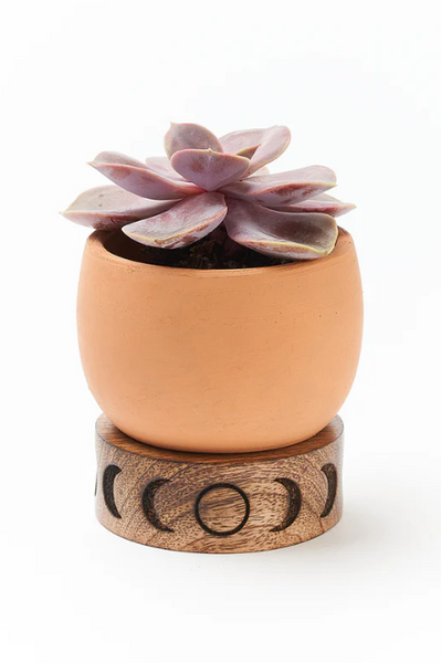 Indukala Moon Phase Terracotta Plant Pot with Wood Stand