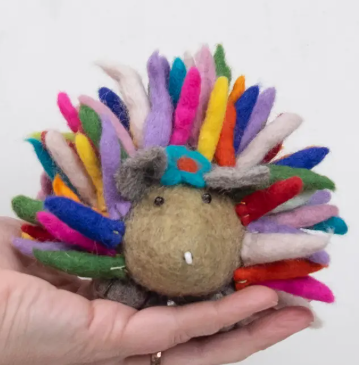 Rainbow Hedgehog