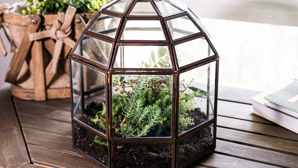 Large Glass Terrarium Birdcage Handmade Planter Decor 9x10"