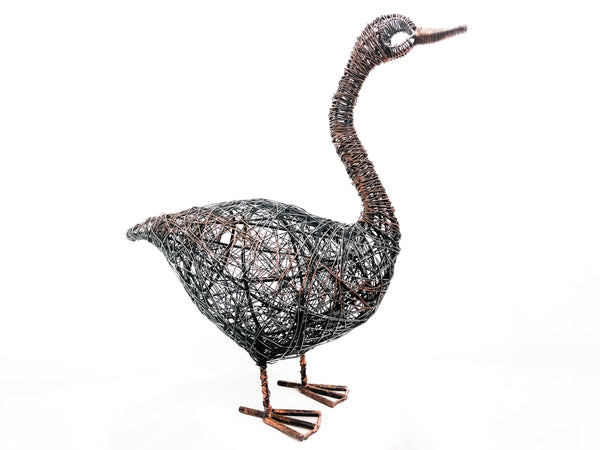 Standing Duck
