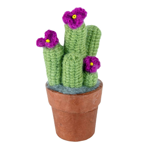 Cactus: Crochet Ladyfinger