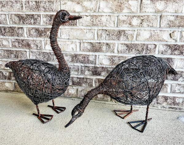 Standing Duck