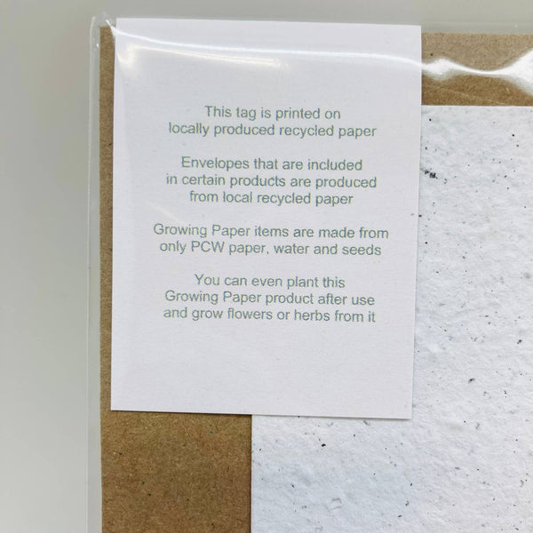 Growing Paper greeting card - Cactus