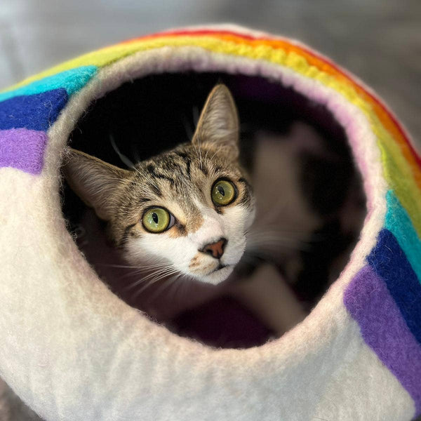Rainbow Eco Kitty Cave