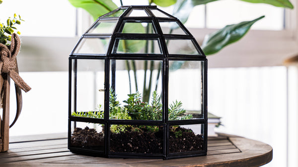 Large Glass Terrarium Birdcage Handmade Planter Decor 9x10"