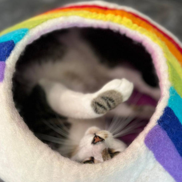 Rainbow Eco Kitty Cave