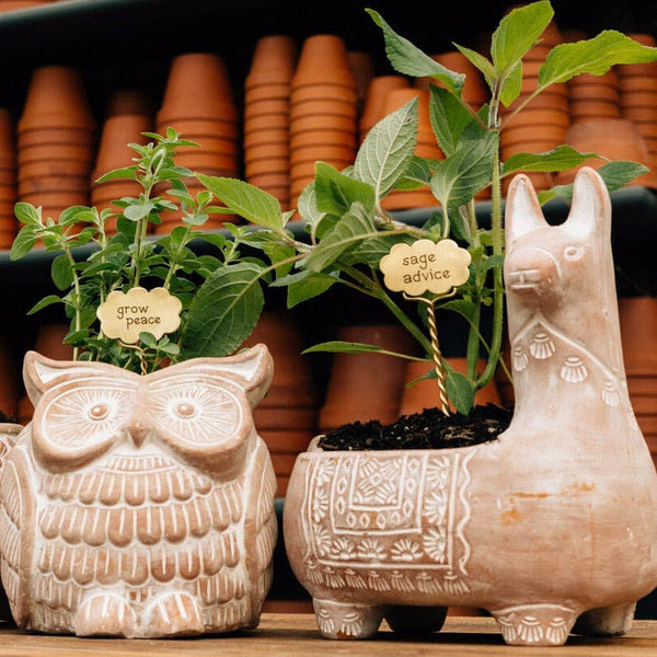Llama Terracotta Planter