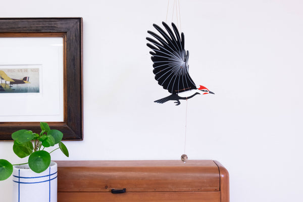 Woodpecker Bird Flying Mobile